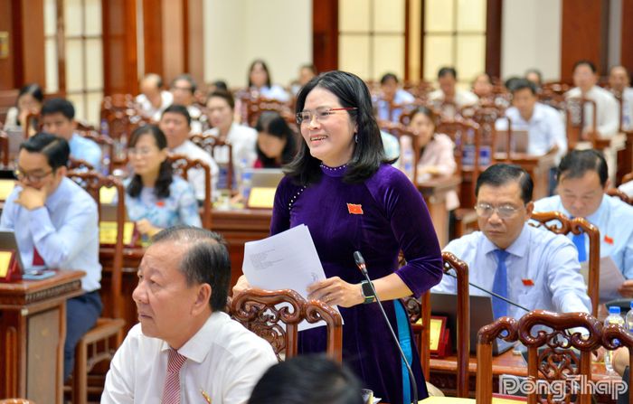 Đại biểu Nguyễn Thị Kim Nhung, Trưởng Ban Pháp chế HĐND tỉnh phát biểu tại phiên giải trình