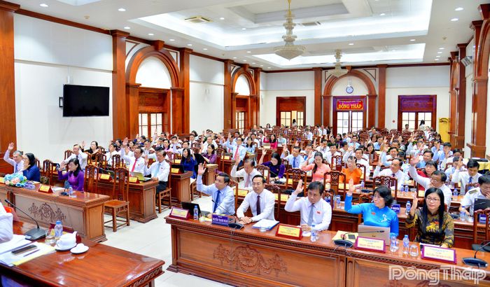 Đại biểu HĐND tỉnh biểu quyết thông qua nghị quyết.