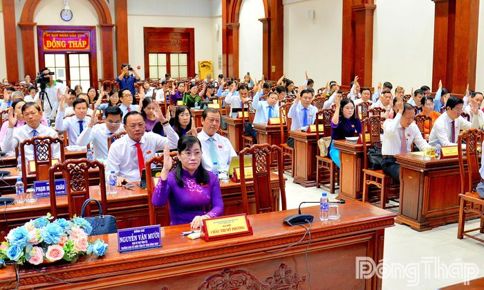 Đại biểu HĐND tỉnh biểu quyết thông qua nghị quyết