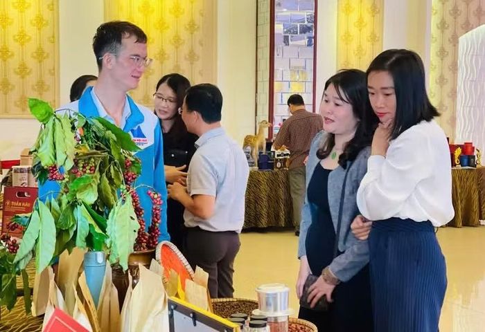 Hoạt động triển lãm sản phẩm khởi nghiệp, khoa học công nghệ và đổi mới sáng tạo được tổ chức tại sảnh Trung tâm Hội nghị tỉnh Gia Lai với khoảng 30 gian hàng. Ảnh minh họa: T.D