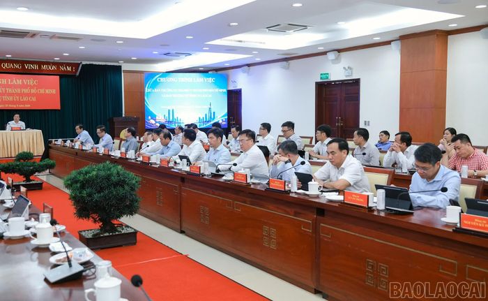 Các đại biểu dự buổi làm việc.