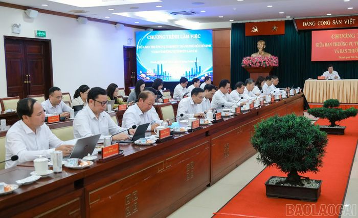 Các đại biểu dự buổi làm việc.