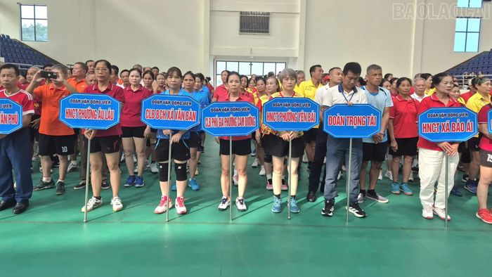 Các đơn vị tham gia giải.