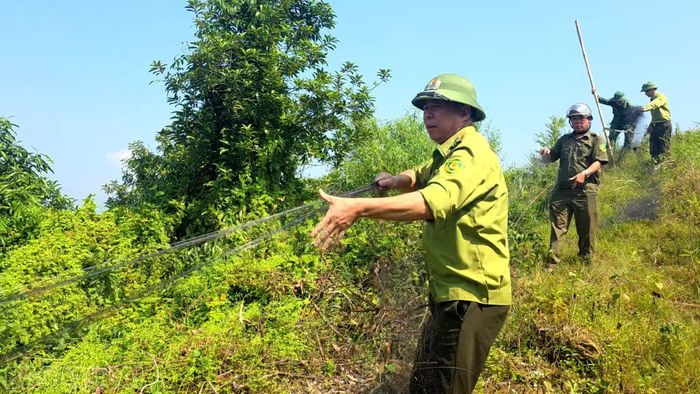 Hệ thống lưới được giăng kéo dài trên sườn đồi, lực lượng chức năng tổ chức tháo dỡ và thu gom.