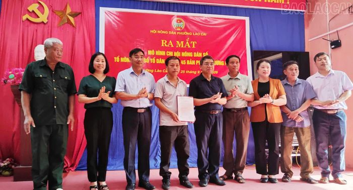 Ra mắt Tổ Nông dân số Tổ dân phố số 5 Bản Phiệt, phường Lào Cai.