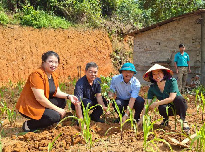 Các đại biểu tham gia trồng cây giống ăn quả.