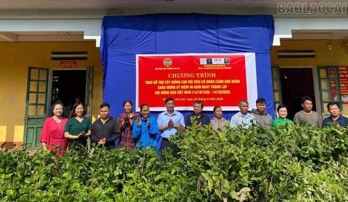 Trao cây giống cho hội viên có hoàn cảnh khó khăn.