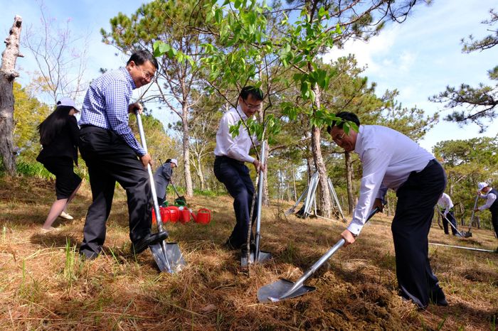 Các đồng chí lãnh đạo tỉnh và phường Lâm Viên - Đà Lạt tham gia trồng cây mai anh đào