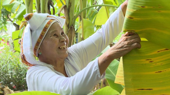 Bà con đồng bào DTTS xã Sơn Mỹ phát triển sinh kế, nâng thu nhập, từng bước thoát nghèo bền vững