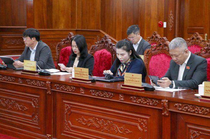 Các đại biểu tham dự phiên giải trình
