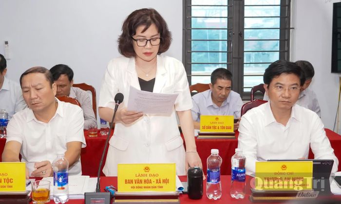 Đại diện các ban HĐND tỉnh phát biểu tại buổi làm việc - Ảnh: N.H