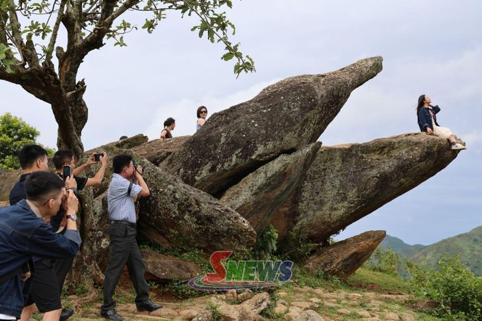 Đoàn Famtrip tham quan, trải nghiệm tại Mỏm cá heo.
