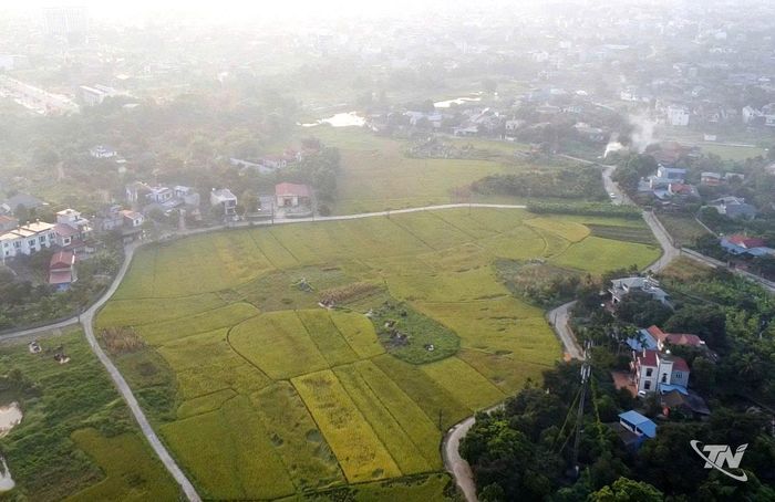 Khu vực tổ 4, xóm Trại Bầu, được phường Gia Sàng bố trí xây dựng khu tái định cư cho các hộ dân phải di dời để thực hiện tuyến đê Hữu Cầu.