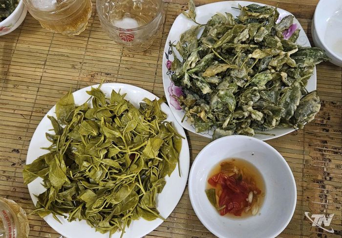 Chè muối dưa là một cách làm sáng tạo, góp phần làm phong phú ẩm thực từ cây chè và quảng bá giá trị chè Thái Nguyên đến nhiều người hơn.