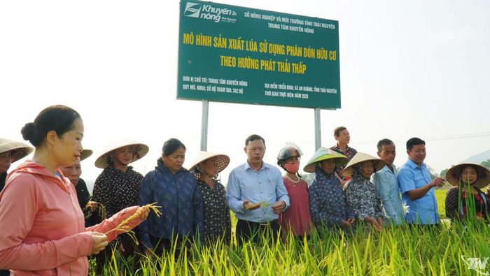 Đánh giá mô hình canh tác lúa sử dụng phân bón hữu cơ tại xã An Khánh.