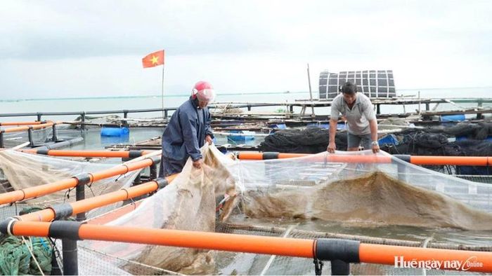 Độ bền của lồng bè HDPE được người nuôi thủy sản đánh giá cao hơn.