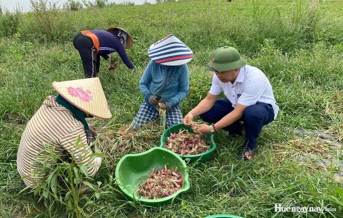 Kết quả nghiên cứu chuyển giao sản phẩm cho nông dân của Trường ĐH Nông lâm, ĐH Huế. 