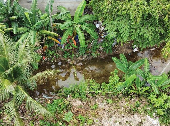  Nhiều đoạn trên tuyến kênh đào Nam sông Hương đã được nạo vét, khơi thông dòng chảy.