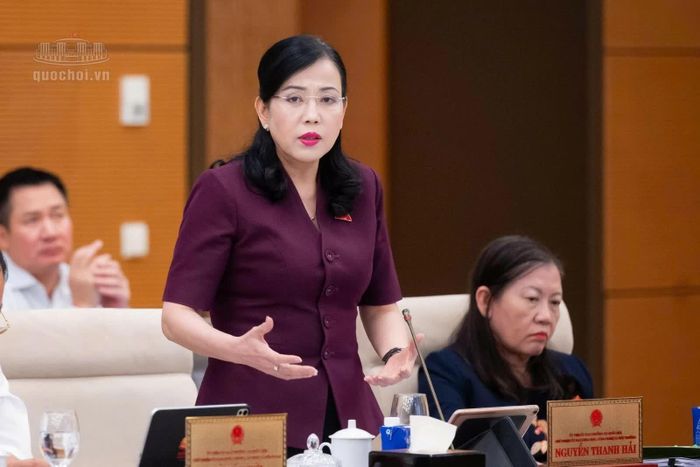 Chủ nhiệm Uỷ ban Khoa học, Công nghệ và Môi trường Nguyễn Thanh Hải phát biểu tại phiên họp.