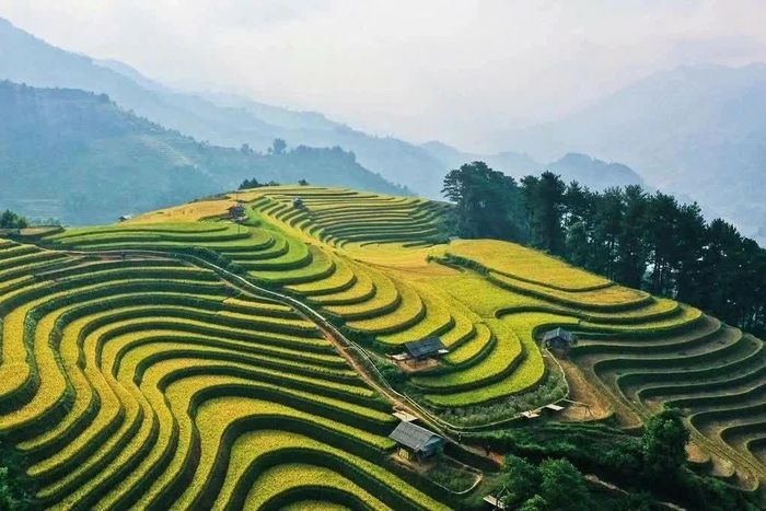 Bộ Nông nghiệp và Môi trường tổ chức hội thi “Điểm đến du lịch nông thôn Việt Nam tốt nhất”. Ảnh minh họa