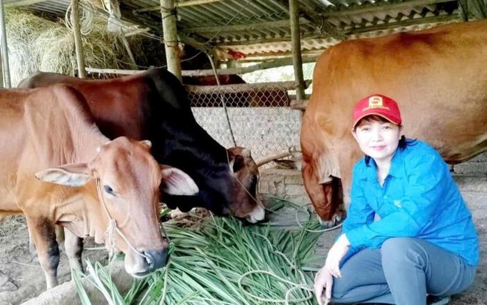 Từ lựa chọn mô hình phù hợp đến thay đổi phương thức sản xuất, đồng bào vùng cao Lào Cai đang từng bước chủ động tạo sinh kế và nâng cao thu nhập ngay trên quê hương.
