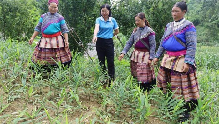 Hạ tầng từng bước được hoàn thiện, tạo điều kiện kết nối bản làng, thúc đẩy sản xuất và nâng cao đời sống người dân vùng đồng bào dân tộc thiểu số Lào Cai.