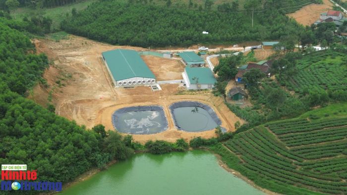 Cần tăng cường những giải pháp xử lý chất thải tại các trại chăn nuôi. Ảnh: Nguyễn Công