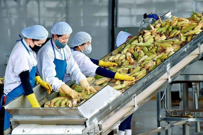  Doanh nghiệp trong lĩnh vực xuất khẩu nông lâm thủy sản cần được tháo gỡ khó khăn để thúc đẩy hoạt động sản xuất kinh doanh. 