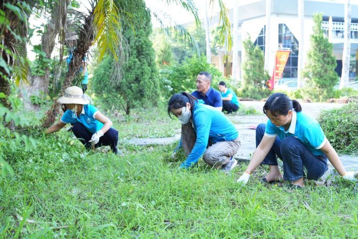 Phong trào “Vân Đình nở hoa” góp phần nâng cao cảnh quan môi trường và chất lượng không gian sống tại địa phương. Ảnh: Đình Thủy