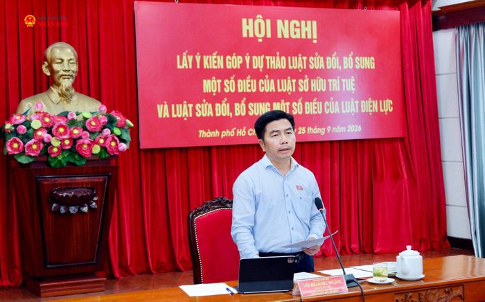 Phó Trưởng đoàn chuyên trách Đoàn ĐBQH thành phố Võ Hoàng Ngân phát biểu. Ảnh: Hoa Lê