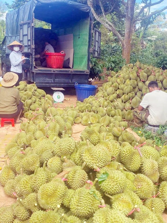 Điện tử, máy móc, dệt may, giày dép, đồ gỗ, nông sản và thủy sản vẫn còn dư địa tăng trưởng nếu doanh nghiệp đáp ứng tốt yêu cầu về chất lượng, môi trường và truy xuất nguồn gốc (Ảnh: PV)