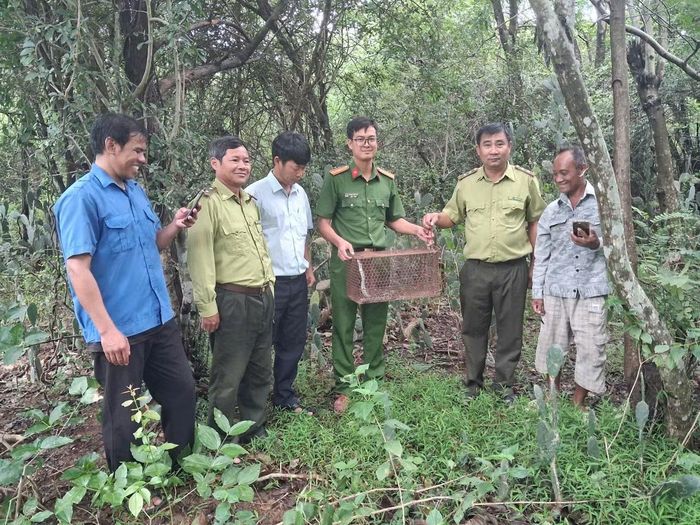 Đại diện Công an, UBND xã Vĩnh Hải và Hạt Kiểm lâm Ninh Hải - Thuận Bắc đưa cá thể trăn gấm vào Vườn quốc gia Núi Chúa - Phước Bình.