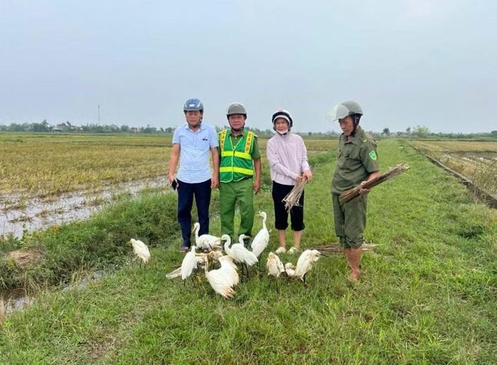 Nhiều loại bẫy chim, cò được Công an xã Phú Hồ và các đơn vị thu giữ để tiêu hủy.