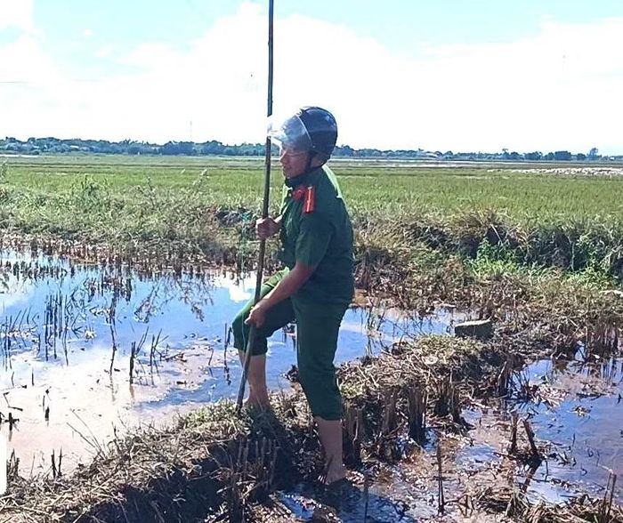 Cán bộ Công an tháo gỡ bẫy chim trời trên đồng ruộng.