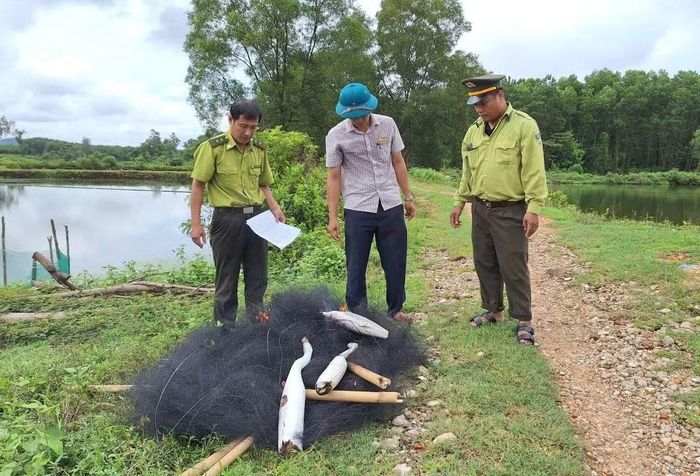 Tiêu hủy bẫy chim trời.