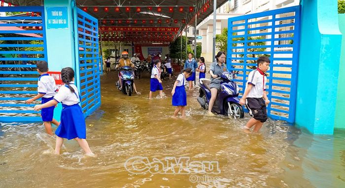 Toàn bộ sân Trường Tiểu học 2 Khánh Bình ngập sâu, gây ảnh hưởng việc dạy và học.