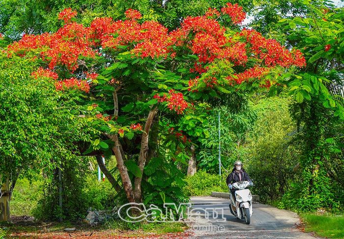 Hạ tầng giao thông nông thôn từng bước hoàn thiện, kết nối các khu dân cư, tạo thuận lợi cho phát triển kinh tế - xã hội.