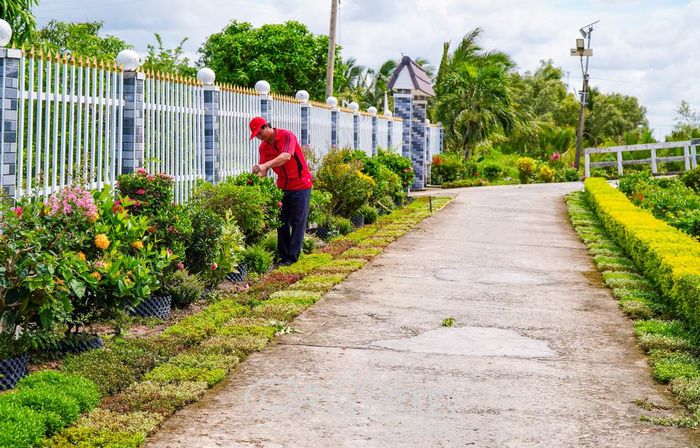 Ông Phan Phi Châu, ấp Hoàng Minh A, xã An Trạch, chăm sóc, cắt tỉa hàng rào cây xanh, tạo cảnh quan nông thôn xanh, sạch, đẹp.