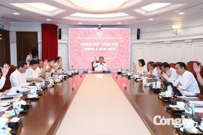 Hội đồng Thẩm phán TANDTC biểu quyết thông qua án lệ