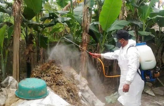 Công tác vệ sinh, tiêu độc khử trùng được tăng cường.