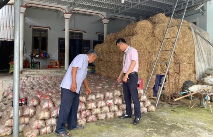 Khi được tiếp cận nguồn vốn, người dân sẽ đầu tư phát triển sản xuất, trong đó có nghề trồng nấm rơm