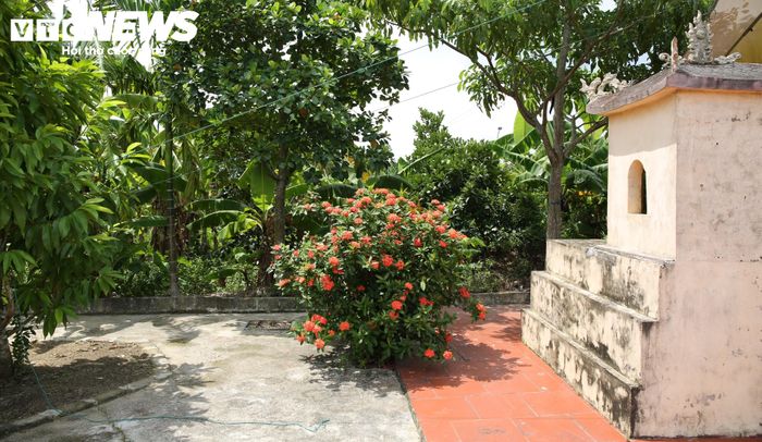 Dưới những gốc cây, ngọn cỏ, lớp gạch, xi măng này rất có thể là nơi nằm lại của những người con Hải Phòng bị giặc Pháp sát hại 75 năm về trước.