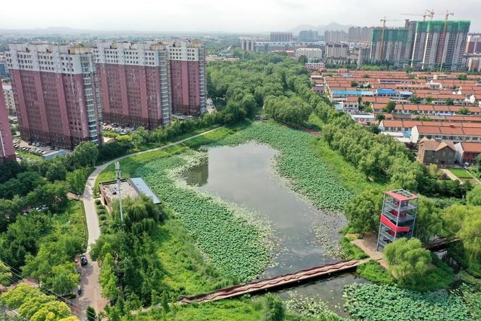 Một hồ nước tự nhiên giúp tích trữ lượng mưa trong hành lang sinh thái ở thành phố. Ảnh: Qiushi