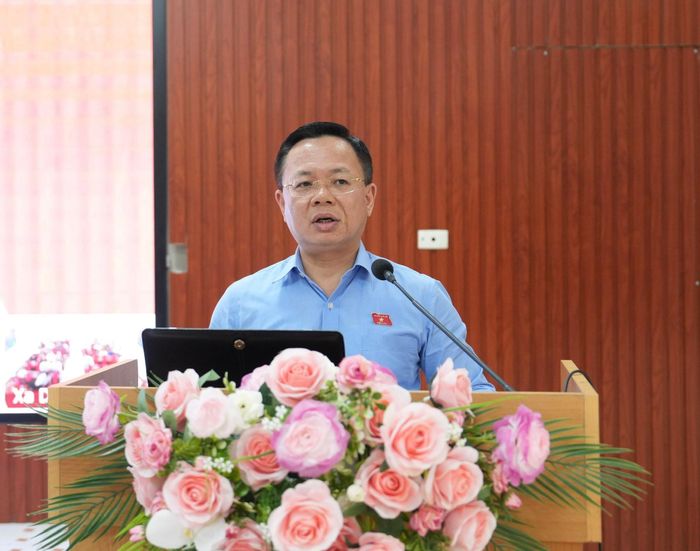 Phó Trưởng đoàn chuyên trách Đoàn đại biểu Quốc hội thành phố Hà Nội Trần Thanh Hà phát biểu tại chương trình. Ảnh: Vân Hà