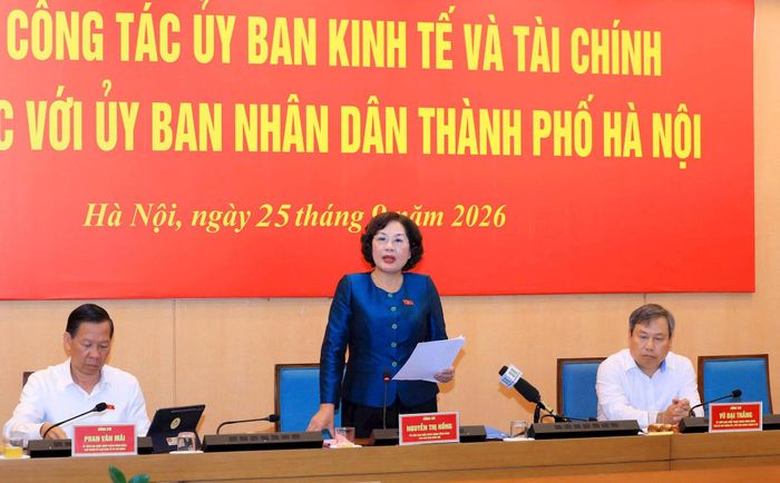 Phó Chủ tịch Quốc hội Nguyễn Thị Hồng phát biểu chỉ đạo tại buổi làm việc. Ảnh: Viết Thành