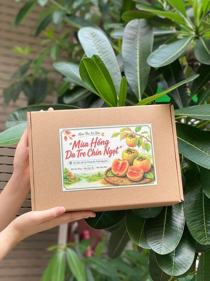 Hồng da tre là đặc sản được nhiều người ưa chuộng.