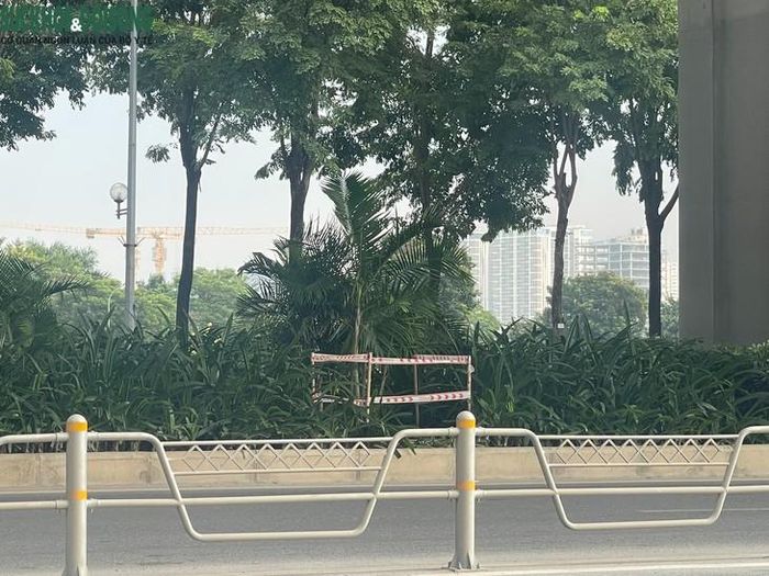 Theo ghi nhận, dọc tuyến này có khoảng chục nắp cống bị mất và xung quanh được cắm cọc, chăng dây cảnh báo. Ảnh: Phúc Đức