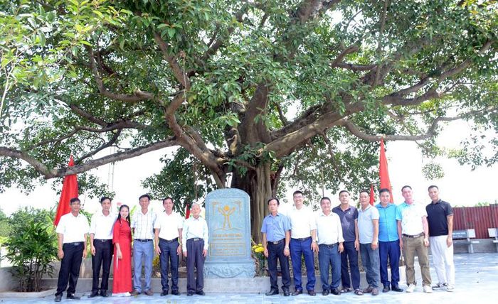 Cây đa thôn Xuân Phú được công nhận là Cây Di sản Việt Nam.
