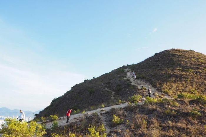  Một đoạn đường trekking lên núi Cô Tiên. Ảnh: Hạ. 