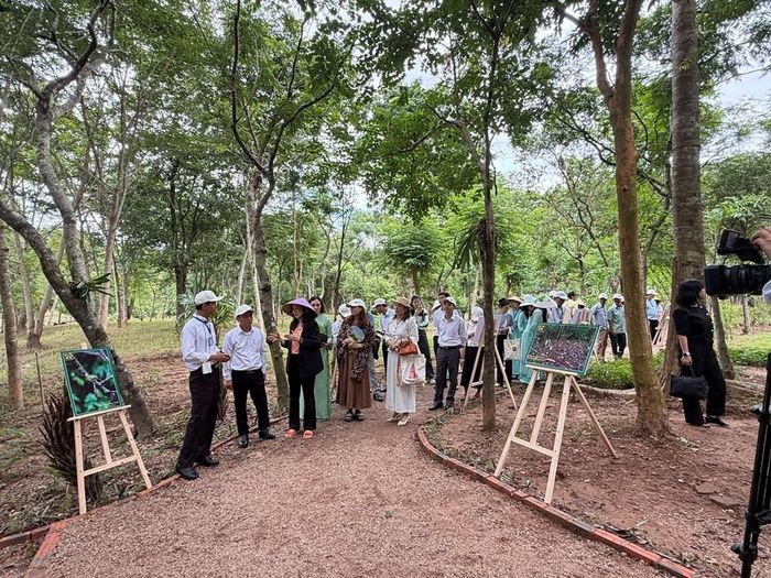 Dịp này, BQL Mỹ Sơn cũng khai trương các sản phẩm du lịch trải nghiệm mới với chủ đề “Mỹ Sơn xanh – Hành trình trải nghiệm văn hóa và thiên nhiên”